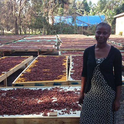 Woman standing in front of drying cocoa beans Kokoa Kamili