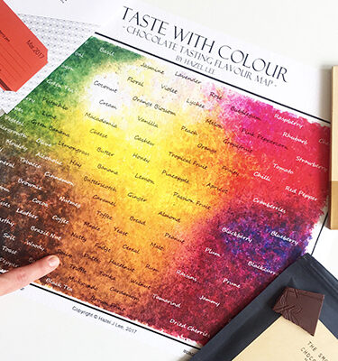 Chocolate flavour map with colours