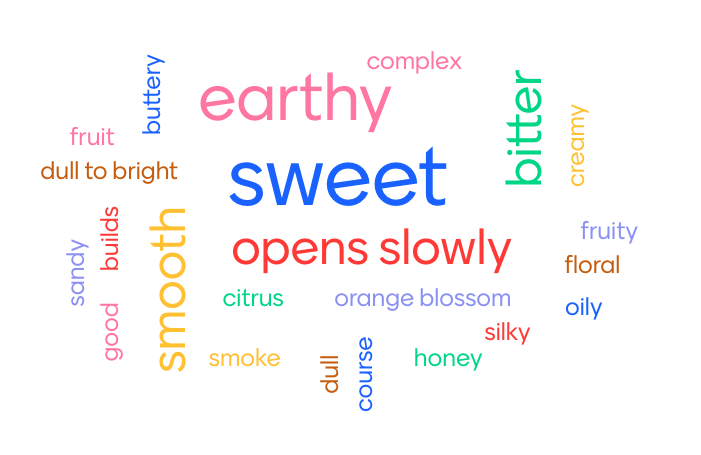 word cloud for chocolate flavours