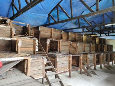 Tiers of fermentation boxes