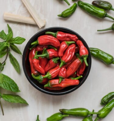 Pepper/Chilli Chocolate Bundle