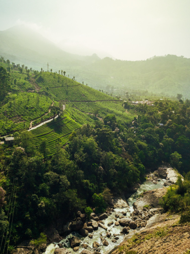 Hills in Kerala, South India