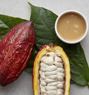 cocoa pods, cocoa leaves and a cup of pulp