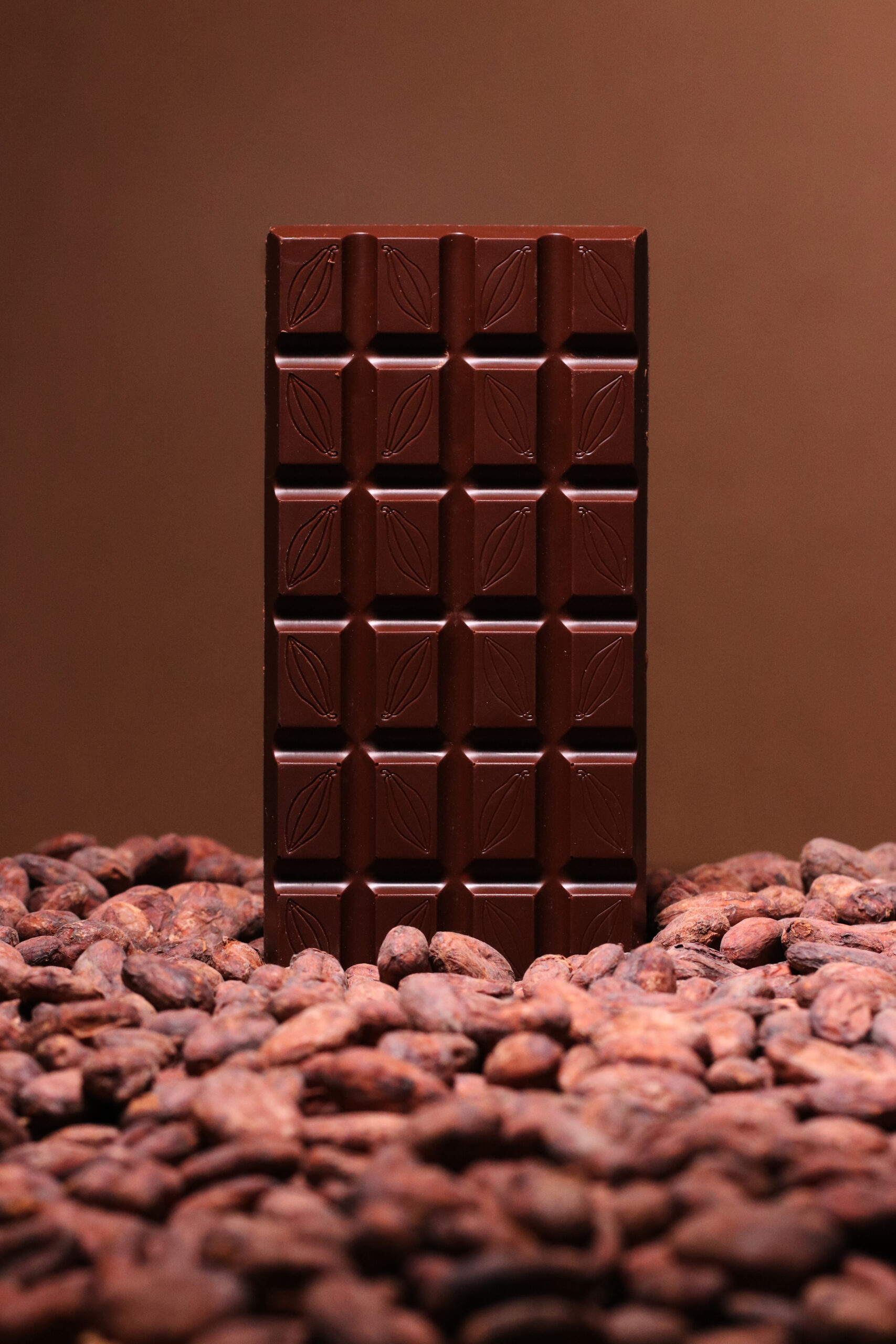 Radeks chocolate bar with cocoa beans
