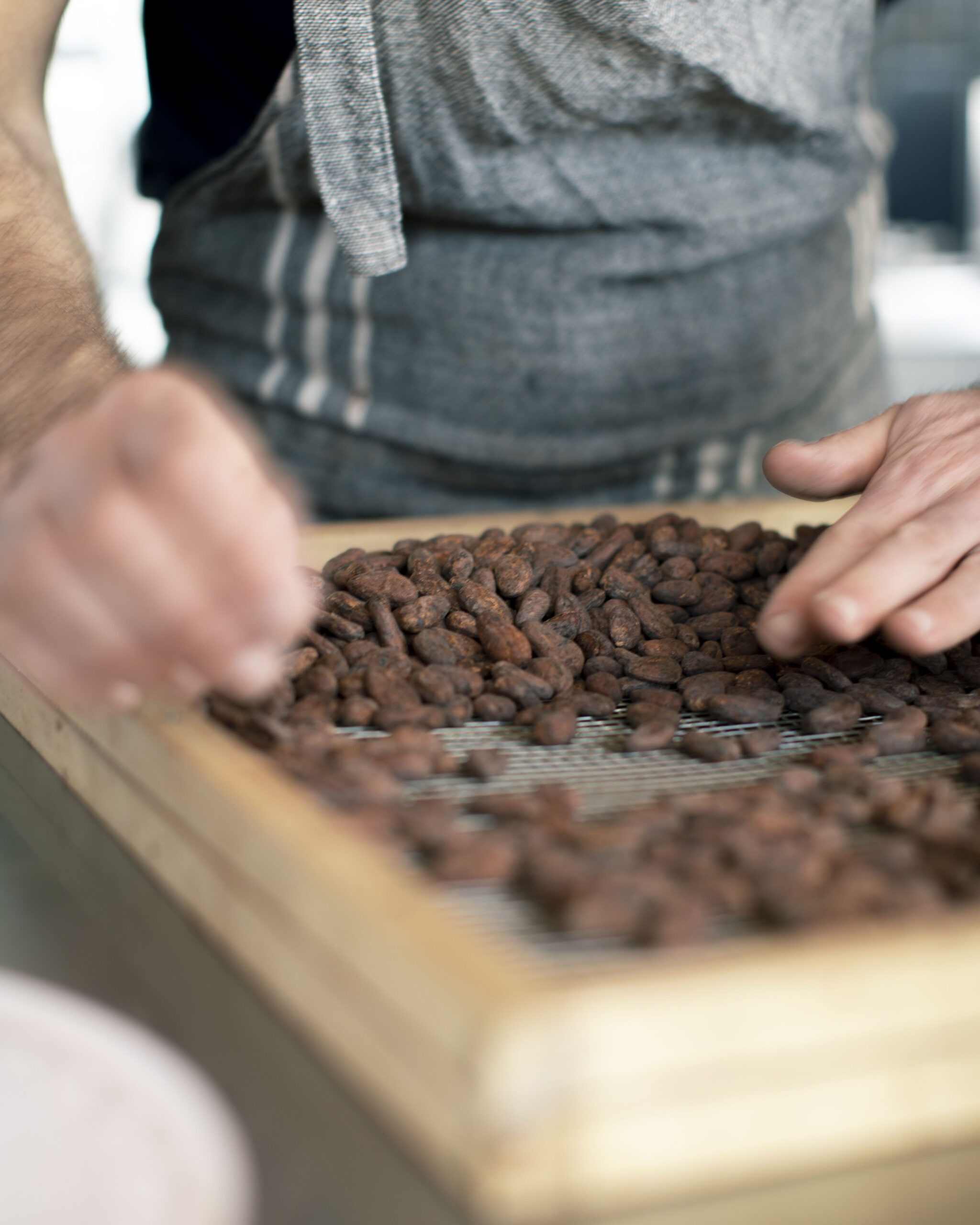 a white mans hands sorting out cocoa beans on a wooden slab