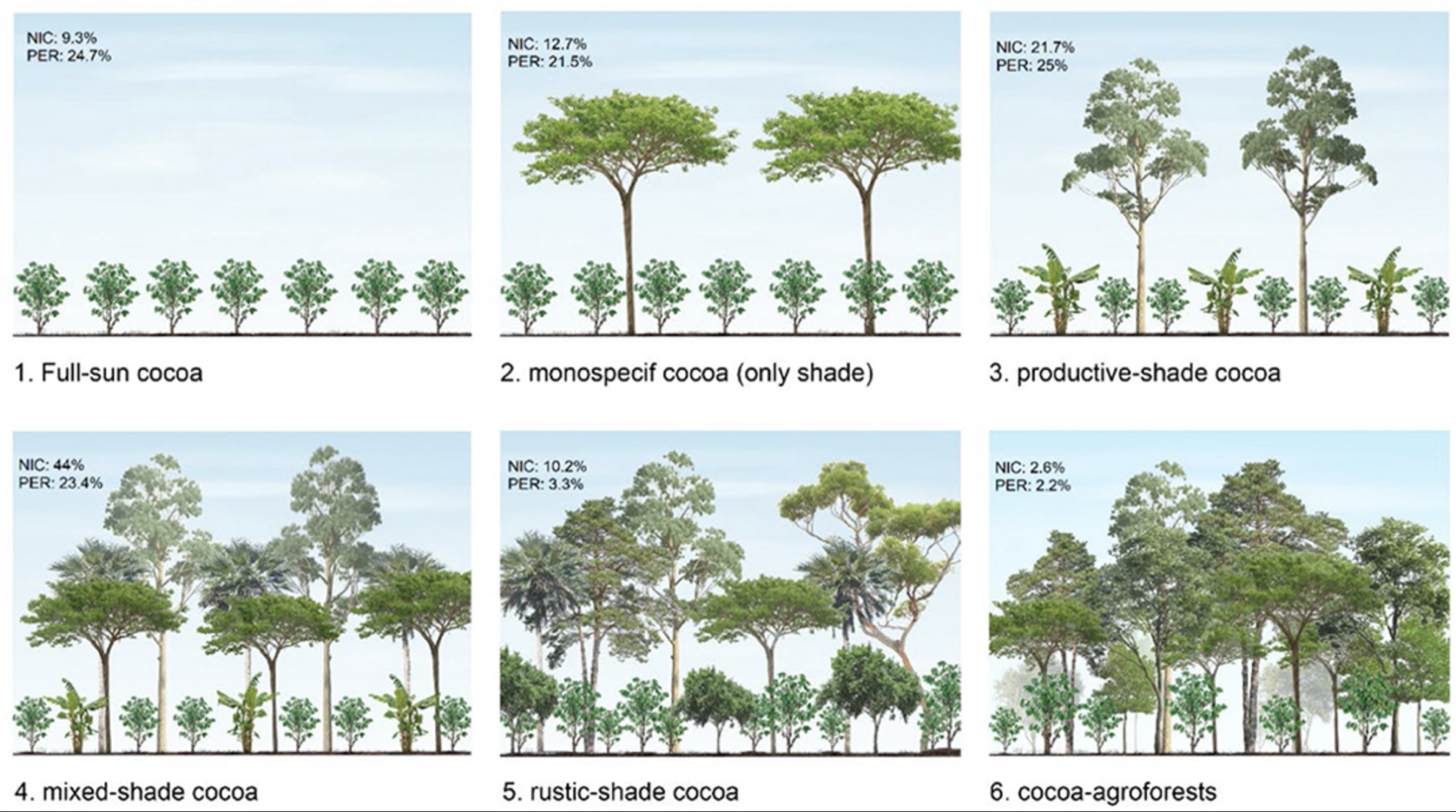 Images detailing the benefits of biodiveristy and agroforestry