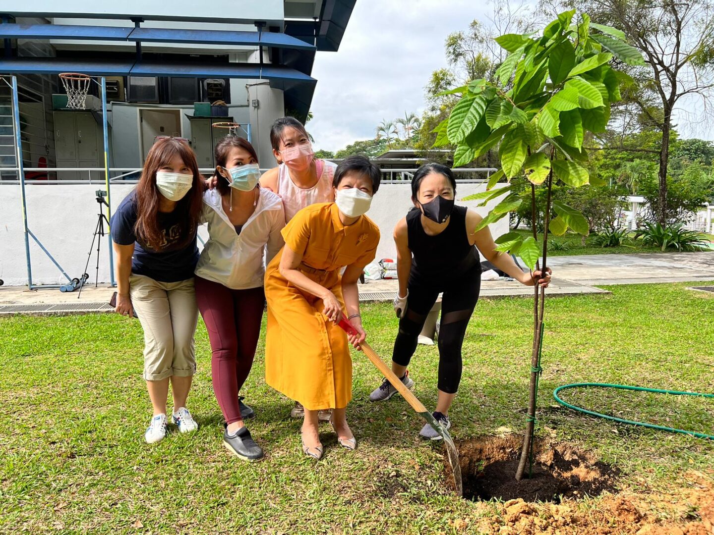 A group of five women leaning down and planting a cocoa tree. The women are all wearing masks, and a woman in a yellow dress at the front is holding a shovel.
